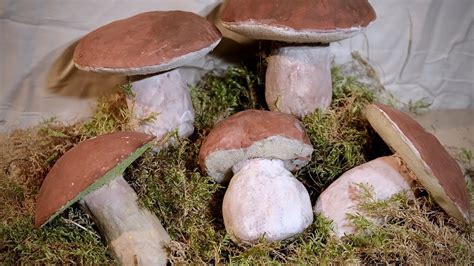are there fake shrooms